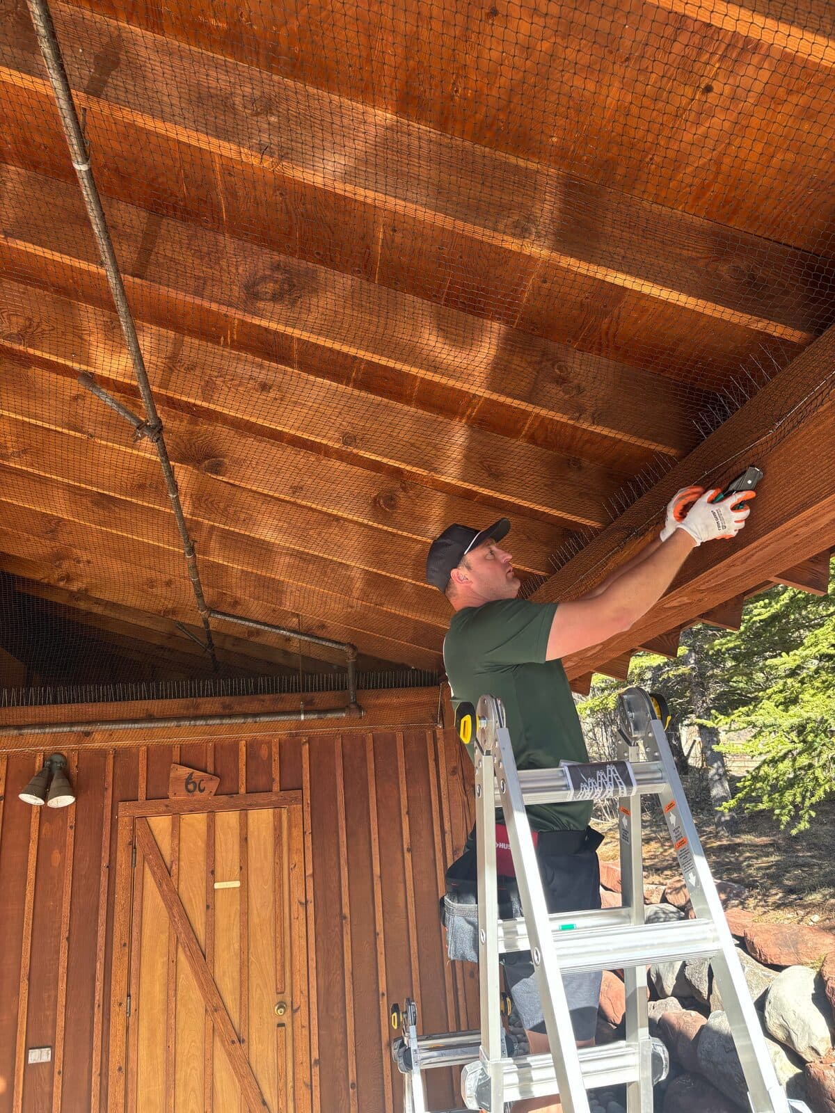 Soffit netting installed for humane bat exclusion